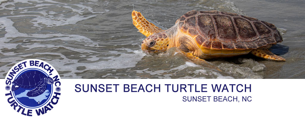 Sunset Beach Turtle Watch