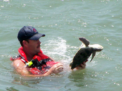 Sea Turtle Rescue at Sunset Beach Pier