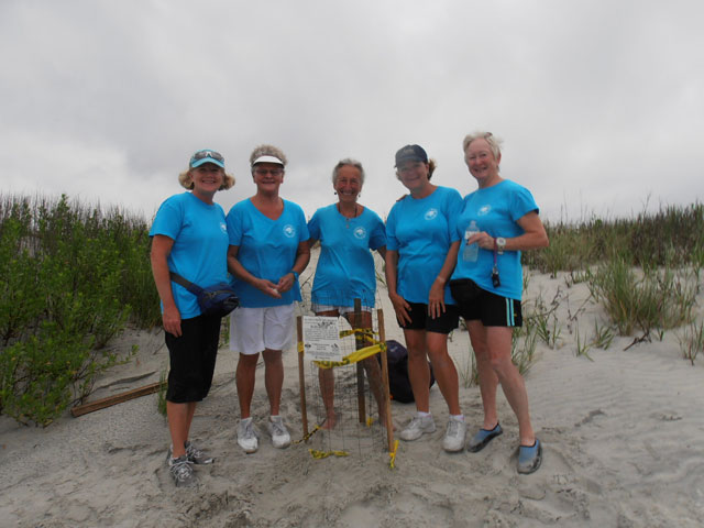 First Nest Bird Island - 6/9/14