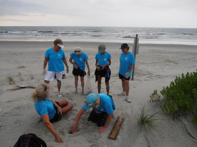 First Nest Bird Island - 6/9/14