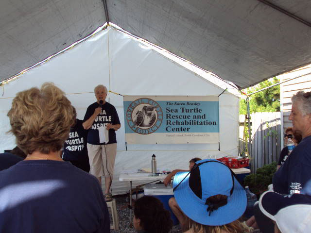 Sea Turtle Release at Topsail Beach