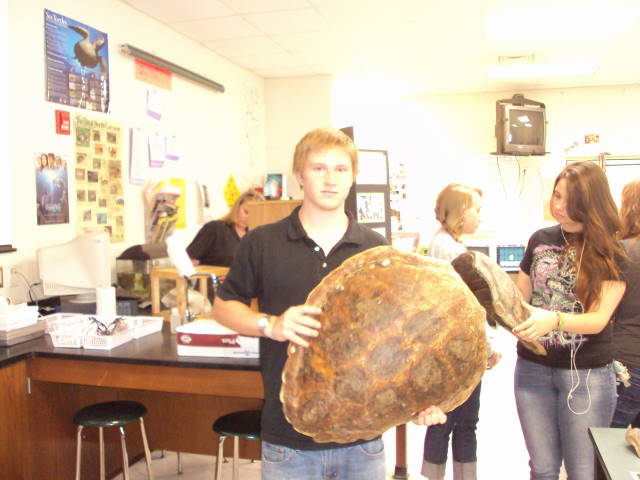 Sea Turtle Education by Carmel at West Brunswick HS
