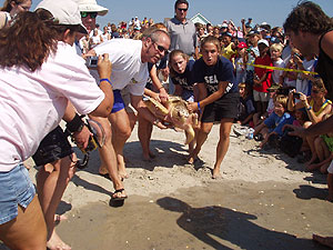 2007 Sea Turtles Release