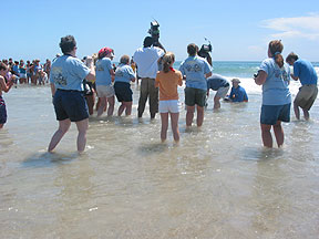 Topsail Turtle Release